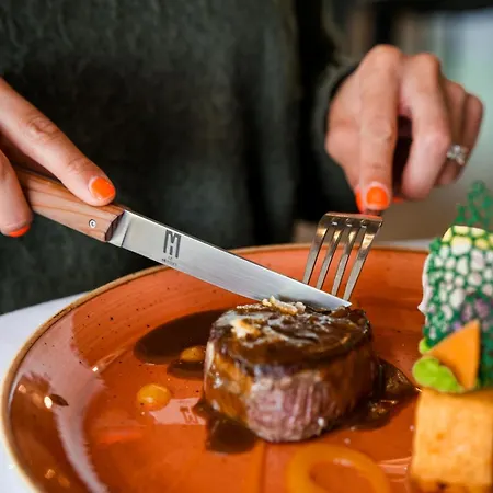 Hotel & Restaurant Le Meysset